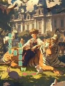 中式民俗灵异直播百度