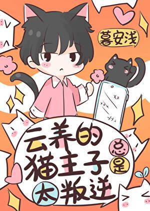 大清厚黑日常时镜全文阅读