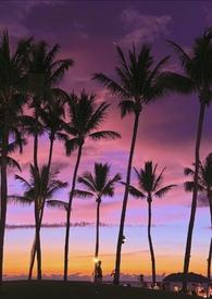 高岭之花失忆后小刺献春笔趣阁无弹窗