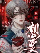 反派攻陷记事讲的什么