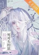 朕与将军解战袍是哪首诗